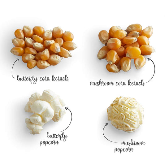 Popcorn Seeds/ Kernels