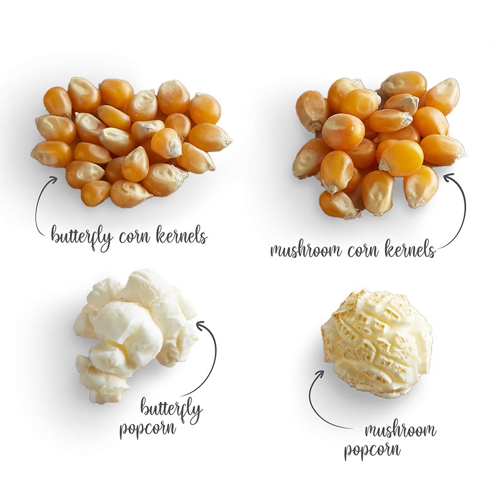 Popcorn Seeds/ Kernels