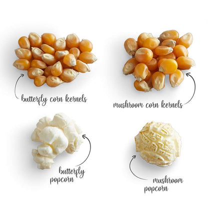 Popcorn Seeds/ Kernels