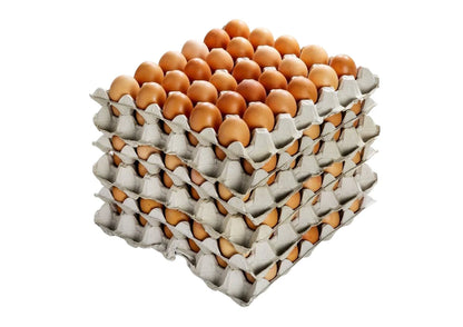 Egg Substitutes Wholesale