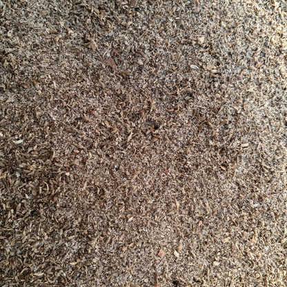Aniseed