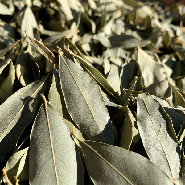 Bay Leaves